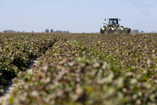 Sorry soil, tight margins a perfect ‘in’ for Arkansas peanuts, experts say