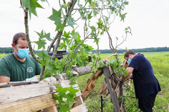Biologists plant seeds for future fishing at Lake Monticello