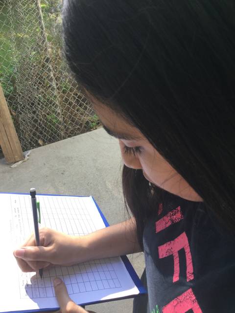 Altheimer, Kansas City STEM students take on new projects