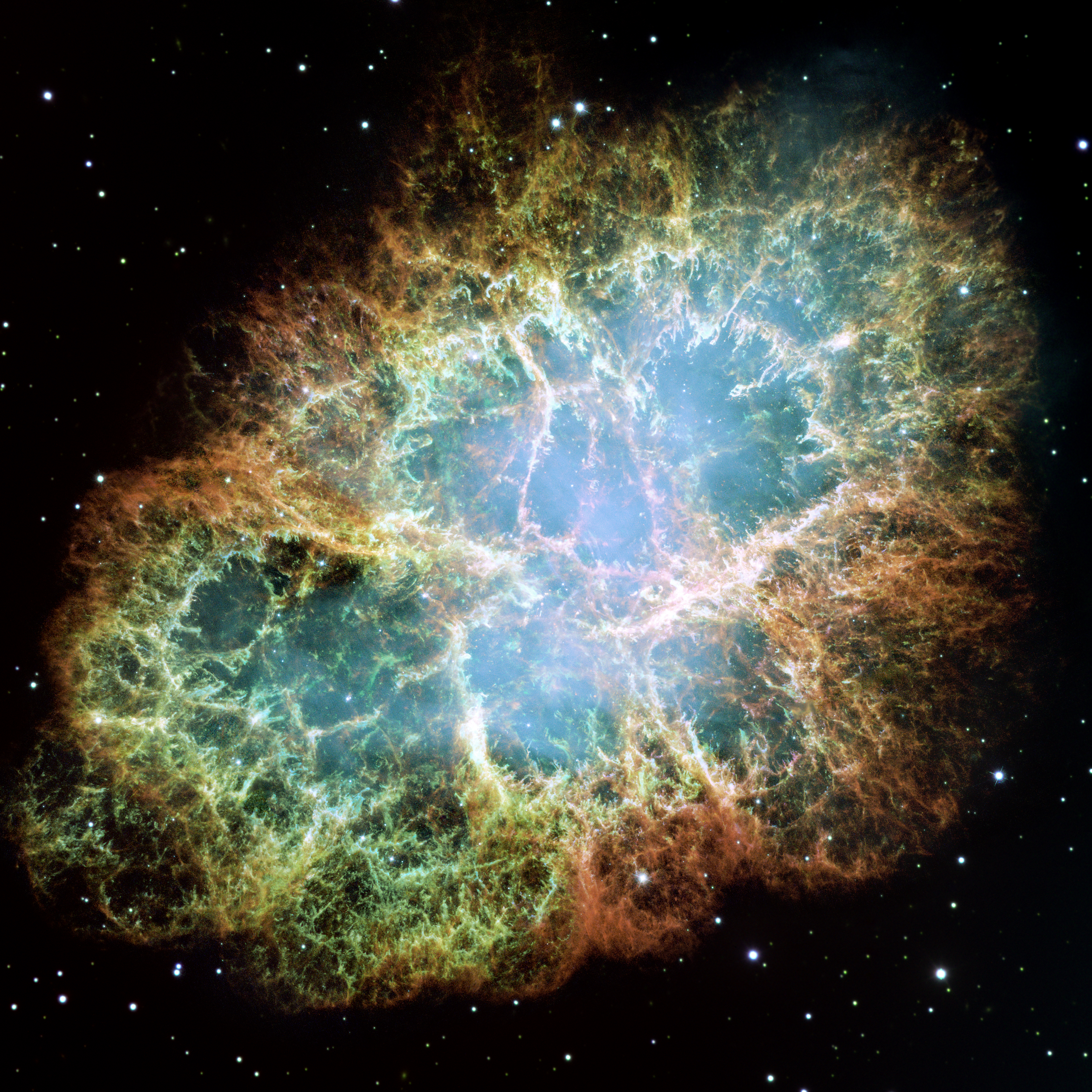 The Secret Lives of Words: The Crab Nebula, cankers, and cranks
