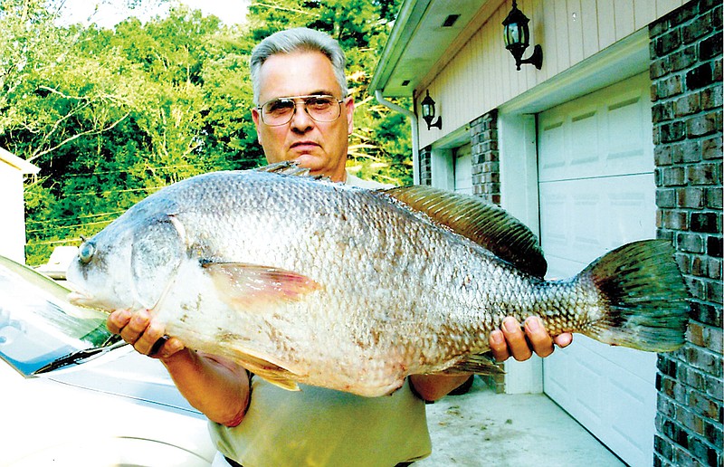 Chattanooga man reels in 24-pound freshwater drum