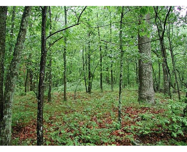 paint rock river national wildlife refuge        
        <figure class=