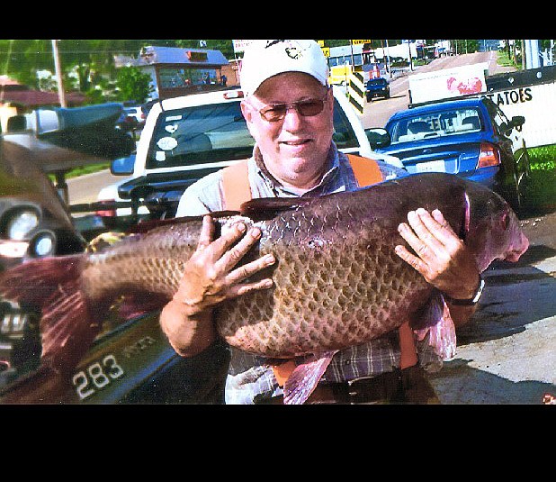 Angler from Whitwell Mountain nets state-record catch | Chattanooga Times  Free Press