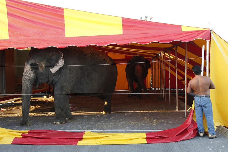 Seven circus shows start at Camp Jordan Oct. 1013 Chattanooga