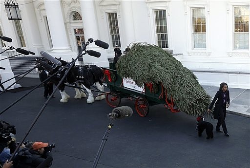 First Lady Tree First lady welcomes White House Christmas tree | Chattanooga Times Free ...