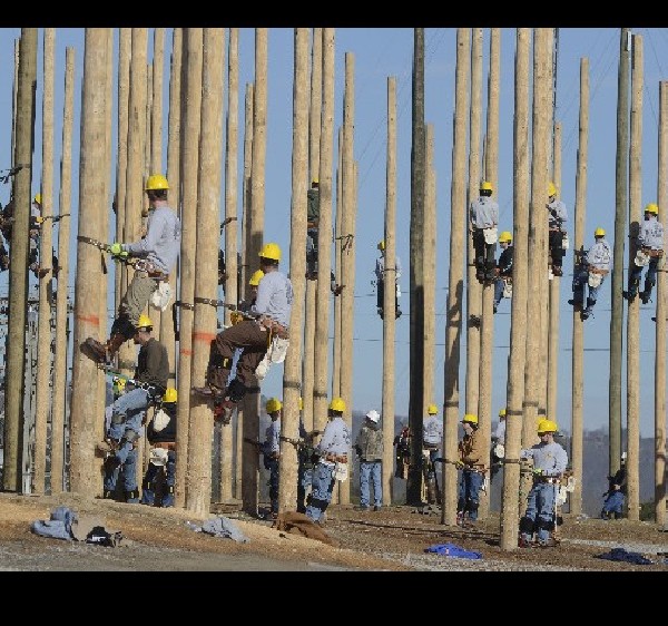 Climb time Trenton lineman school focus of 'Woodwalkers' reality show
