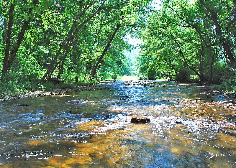 Photo by Steve Raper/Georgia Department of Natural Resources 
A stretch of the Conasauga River