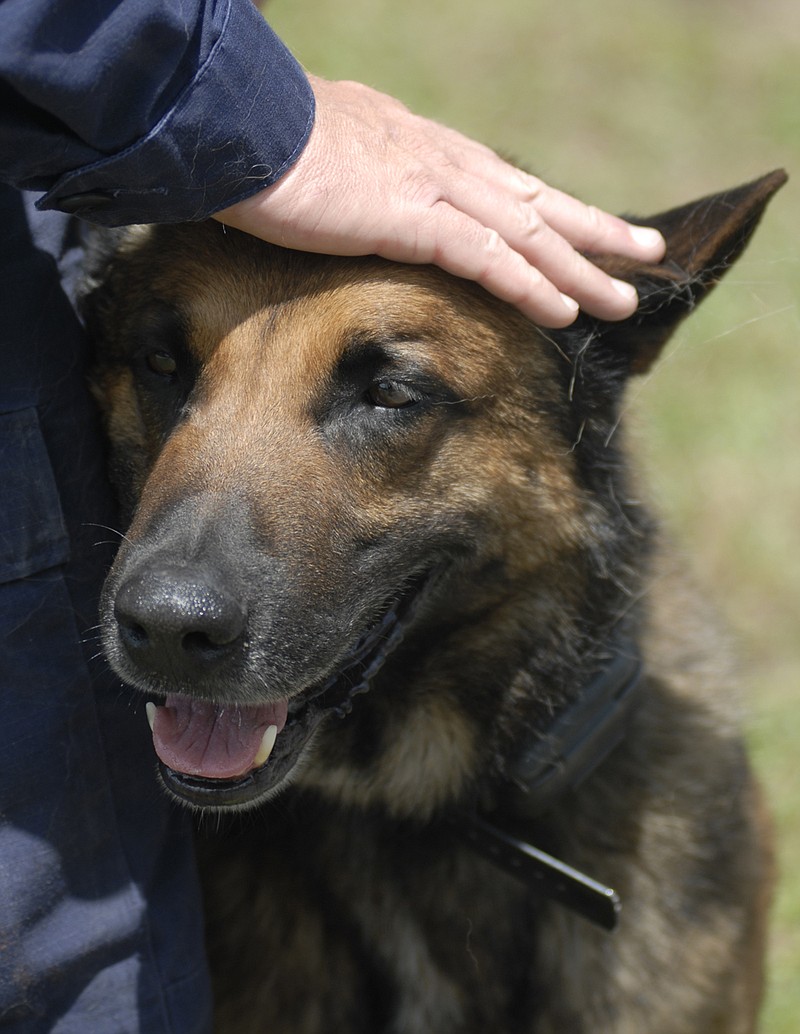 Staff Photo by John Rawlston/Chattanooga Times Free Press - Chattanooga Police Department officer William Atwell pats the head of Xander, a Belgian Malinois that is a part of the police's K-9 unit, as they visit West Side Elementary School on Wednesday. Police officers brought their dogs to the school to thank the fifth grade student council for raising money to pay for bulletproof vests for new police dogs.