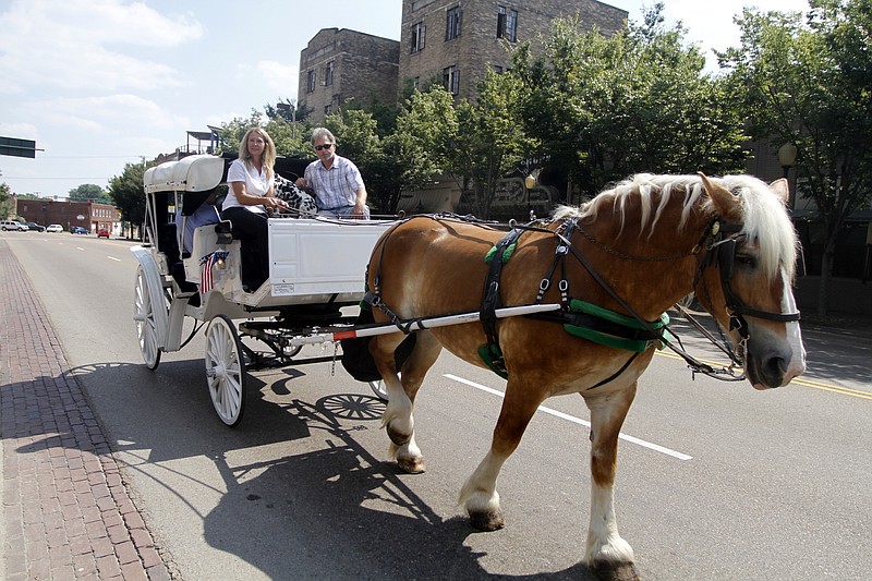 Junebug, a 14-year-old Belgian draft horse, pulls a carriage with driver Vickie LaRose and owner Mark Neal down Market Street. Staff File Photo by Jake Daniels.