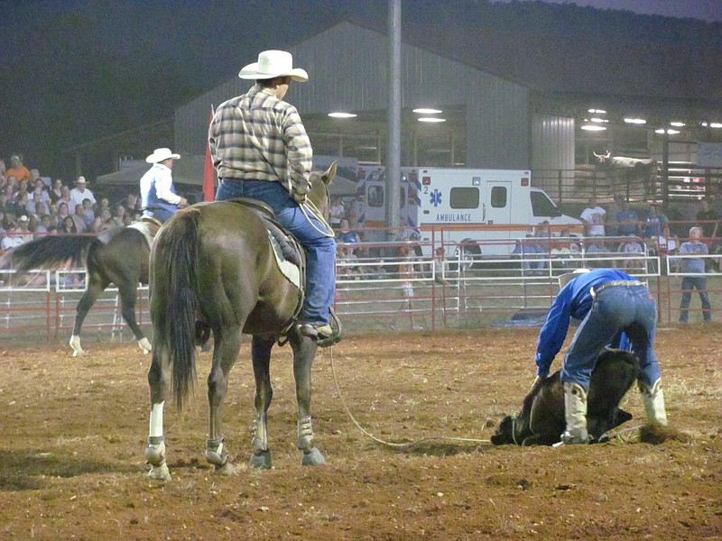 Rhea County Fair wins top Tennessee honors Chattanooga Times Free Press