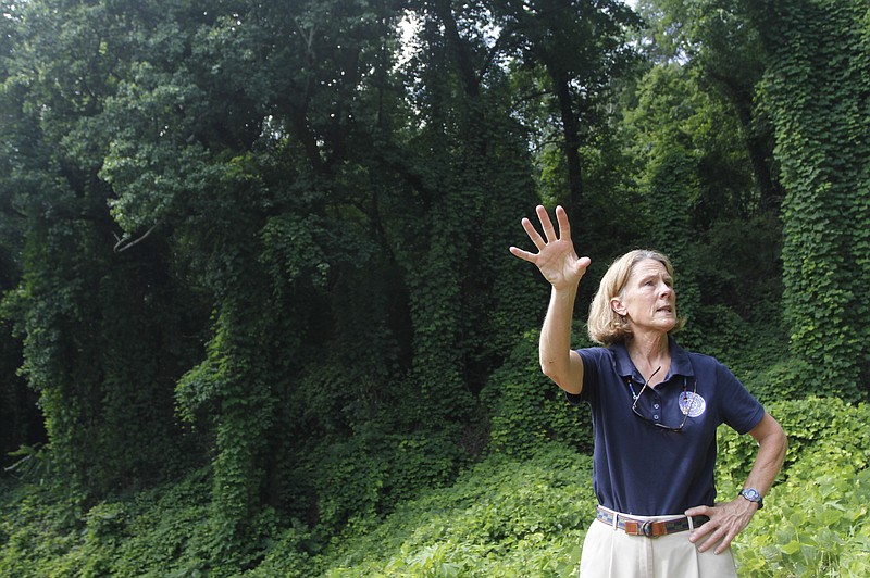 Robyn Carlton, with the Lookout Mountain Conservancy