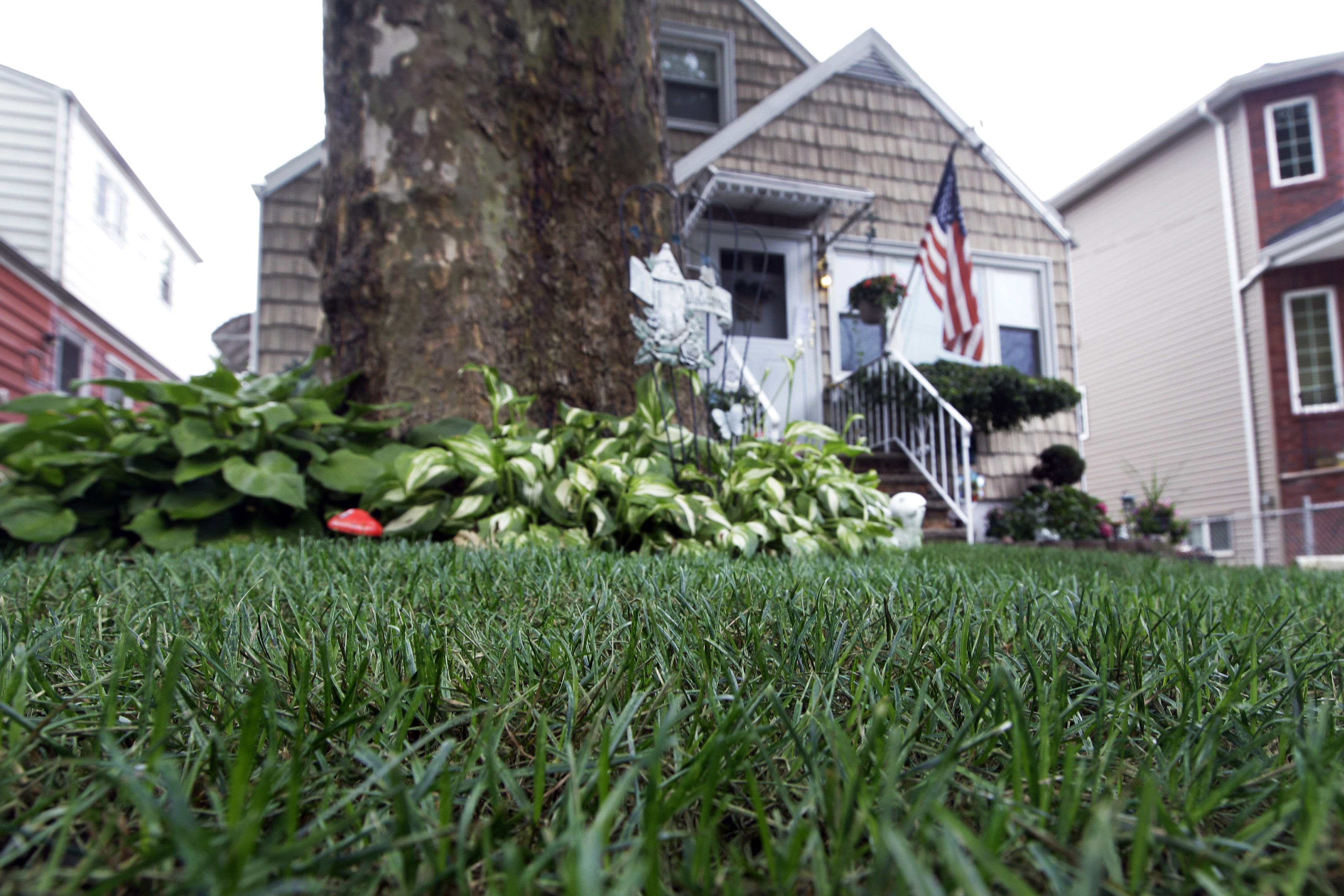 Turf painting spreads as drought ravages lawns | Chattanooga Times Free ...