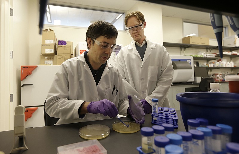 Matt Drever, left, scrapes bacteria from an agar plate during an antibody phage experiment as Charlie Holst watches at the Pfizer laboratory at the the University of California at San Francisco (UCSF) Mission Bay campus. Pfizer Inc., Astra Zeneca PLC and Eli Lilly and Co. are among the major international drug companies signing seven-figure, multiyear umbrella agreements with schools such as New York University, Harvard and the University of California-San Francisco. The deals cover a range of research projects and offer campus scientists access to once-proprietary experimental drug compounds owned by the corporate labs.