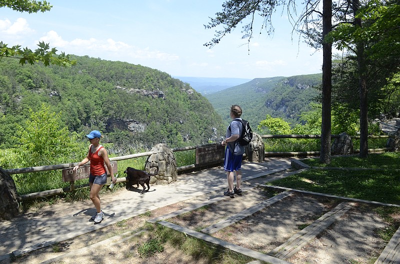 Tim Bruns looks at the canyon Tuesday as he and Sarah Arms pause at the overlook at Cloudland Canyon State Park with a dog named Jager.