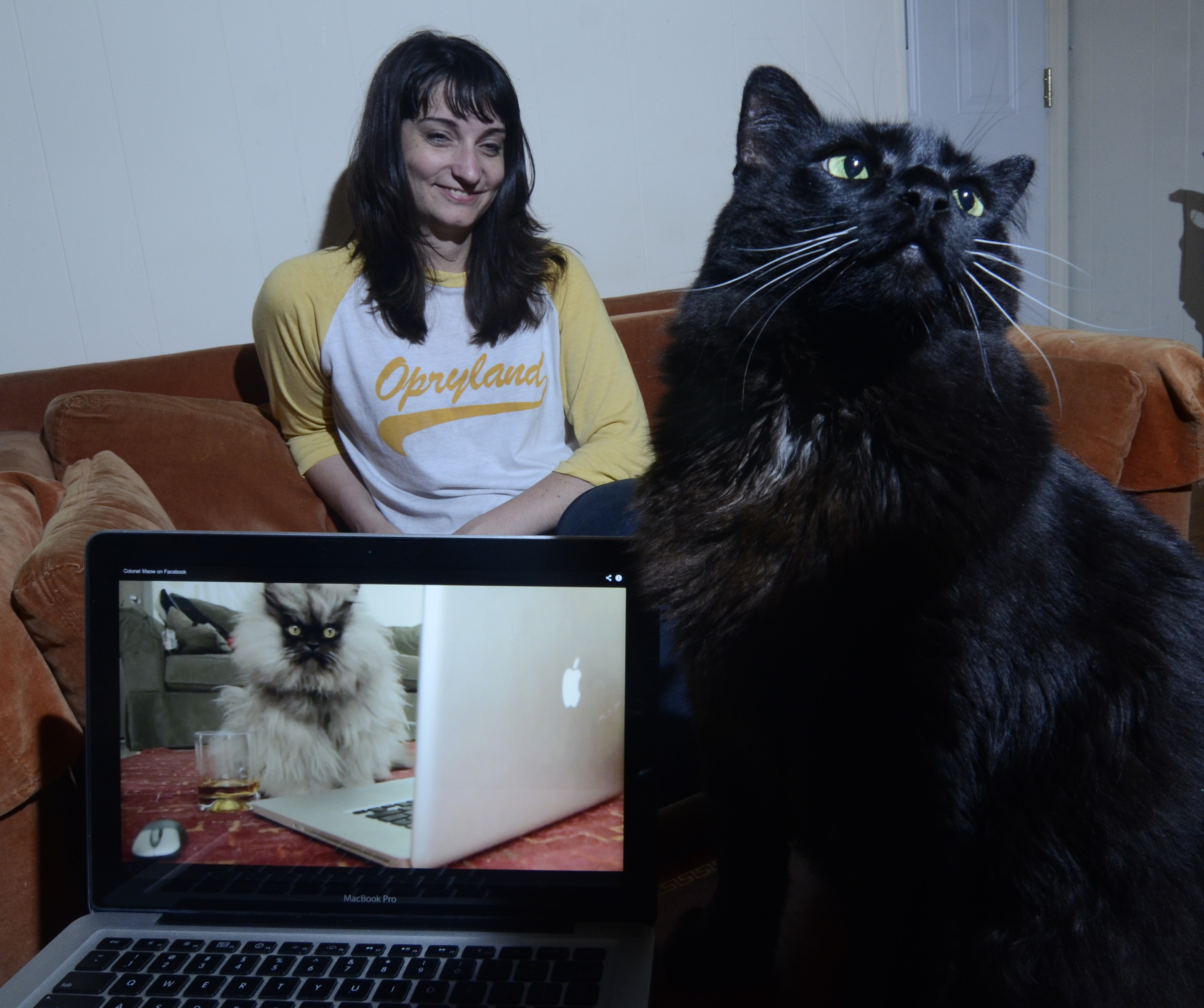 Celebri-cats: Fans sound off on phenomenon of Internet feline