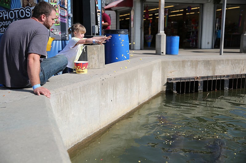 Lake Winnepesaukah taking steps to restore lake's 'unsightly' water
