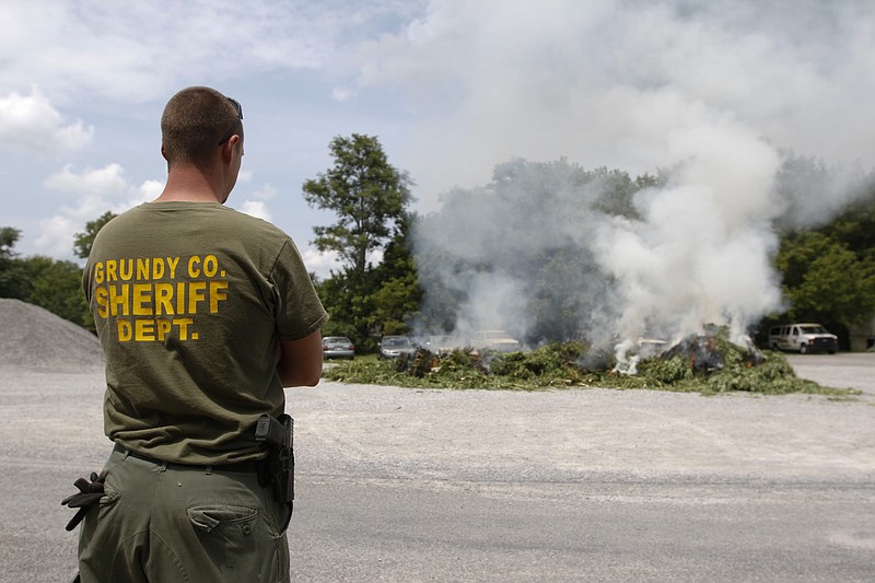 Grundy County, Tenn., Sheriff's Deputy Derrick Morrison watches as a pile of marijuana plants is burned behind the Grundy County Sheriff's Office on Thursday. The harvest was confiscated off Taylor Road near Gruetli-Laager, Tenn., by GCSD, DEA and TBI officers and had a street value of $37 million.