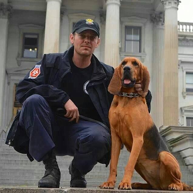 Karma, a 2-year-old bloodhound belonging to Justin Whaley, a STARS member and a paremedic with Hamilton County EMS.