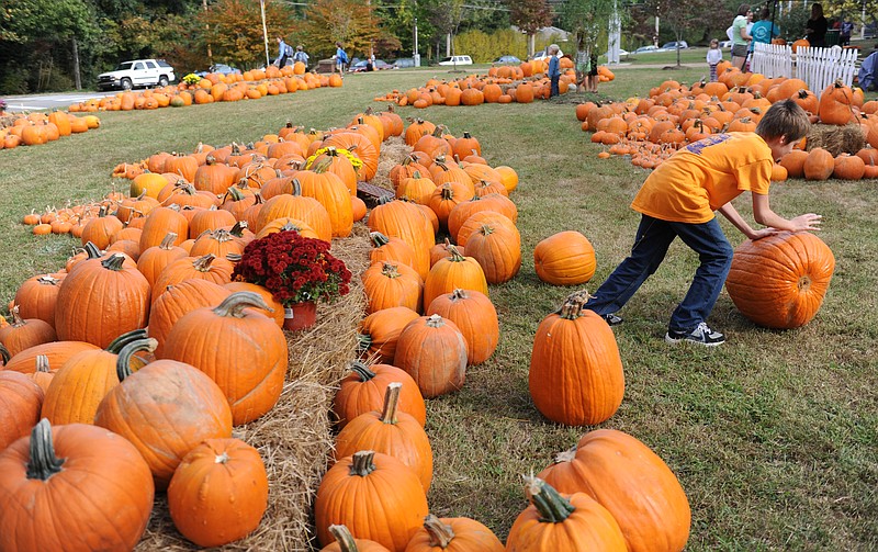 The first frost of fall overnight Saturday signals the season for pumpkin-picking, corn mazes and harvest festivals.