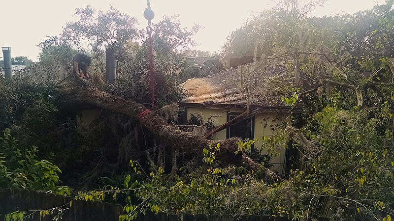 A crew clears debris from portions of a tree that collapsed across several properties in Tallahassee, Fla. Even healthy trees can fail because of their size and weight. The role of a landscape inspector is to locate trees with predisposing faults like disease and cracks that can be pruned or removed before causing any damage. 