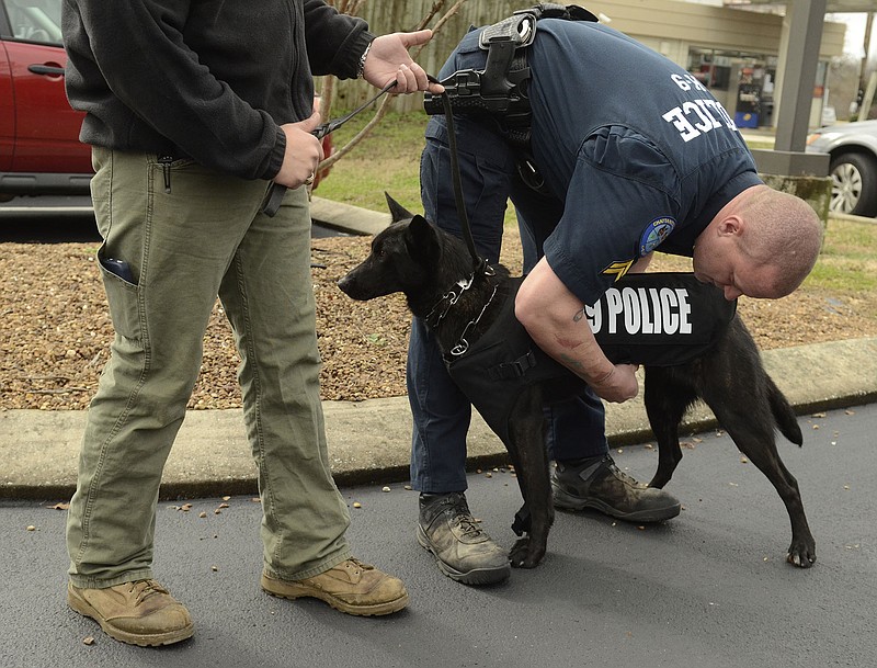 David Chadwick of Invest In K-9, left, holds the leash as Master Patrol Officer Sean O'Brien fastens a bullet-proof dog vest on Yubee, a police dog in training, on Tuesday, Dec. 30, 2014, in Chattanooga, Tenn. Money for the vests came from donations to Invest In K-9, and the presentation was made at the RIVER Vet Emergency Clinic on Amnicola Highway, where many customers made donations to the fund. 