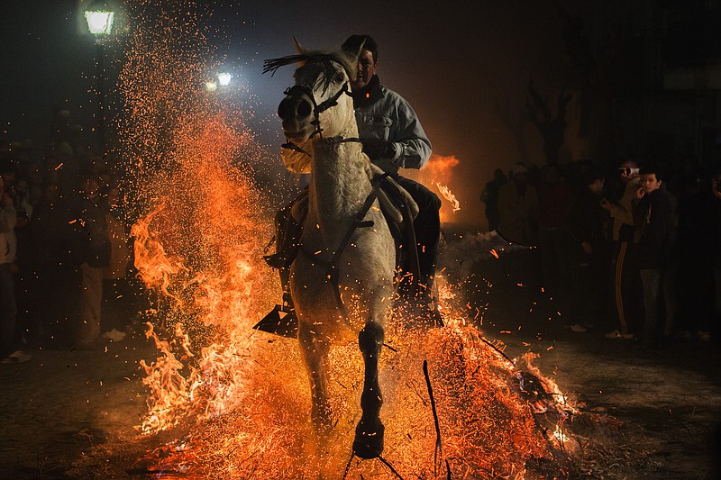 A man rides a horse through a bonfire as part of a ritual in honor of Saint Anthony the Abbot, the patron saint of domestic animals, in San Bartolome de Pinares, Spain. On the eve of Saint Anthony's Day, hundreds ride their horses through the narrow cobblestone streets of the small village of San Bartolome during the "Luminarias," a tradition that dates back 500 years and is meant to purify the animals with the smoke of the bonfires and protect them for the year to come.