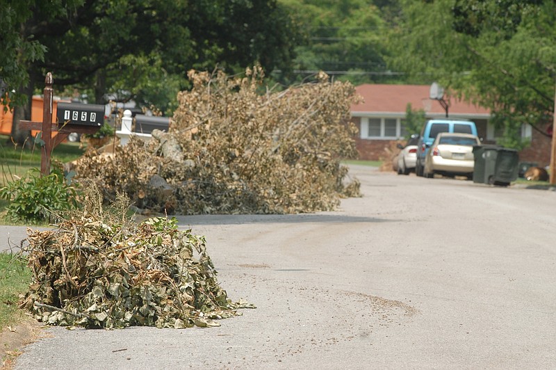 Brush piles are seen in this file photo.