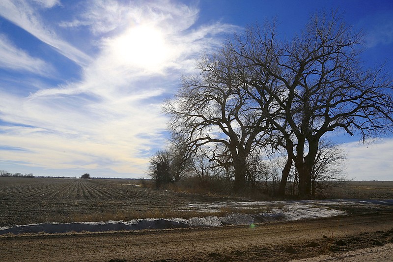 
              FILE - In this Jan. 16, 2015 file photo, trees dominate a field through which the Keystone XL pipeline is planned to run, near Bradshaw, Neb. Officials with TransCanada said Tuesday, Jan. 20, 2015,  they've filed paperwork in nine counties to acquire access to land that's needed for the construction and operation of the pipeline. The route still faces challenges as opponents have filed lawsuits to try to prevent the Calgary, Alberta-based company from using eminent domain and to overturn the state law that allowed ex-Gov. Dave Heineman to approve the route. (AP Photo/Nati Harnik, File)
            