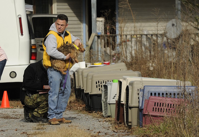 A volunteer holds one of more than 50 animals that were discovered in deplorable conditions in Sequatchie County Friday in the Ewtonville community, just north of Dunlap. 