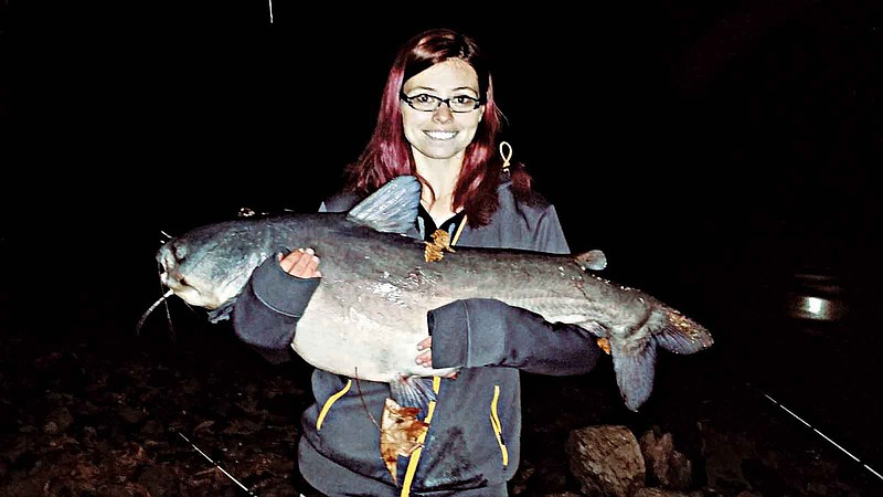 Kayla Templet caught a 25-pound blue catfish from the same bank at Chester Frost Park that her husband Joseph caught a 29-pound-4-ounce flathead catfish.