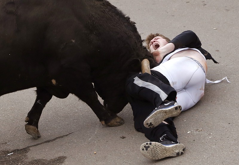 In this photo taken on Saturday, Feb. 14, 2015, Benjamin Milley, 20, from Georgia, in the US, is gored by a bull during the "Carnaval del Toro" in Ciudad Rodrigo, Spain.