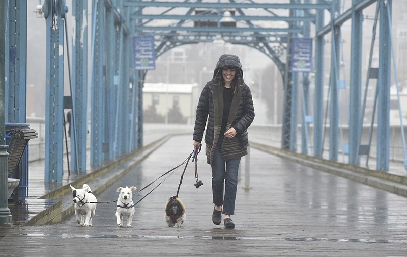 Victoria Priest of Furever Fit Dog Walking and Pet Sitting walks in the rain with three dogs on the Walnut Street Bridge on Tuesday, Mar. 3, 2015, in Chattanooga, Tenn.