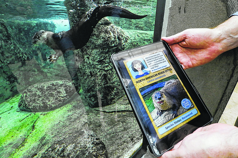 Thom Benson demonstrates how CloudBeacon's new technology will be utilized at the Tennessee Aquarium to send push notifications and information to visitors cell phones and tablets as they