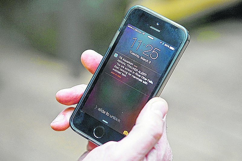 Caption/Description: Staff Photo by Dan Henry / The Chattanooga Times Free Press- 3/3/15. Jason Provonsha, a partner with CloudBeacon, demonstrates how his company's product will be used at the Tennessee Aquarium to send push notifications to visitors' cell phones and tablets.