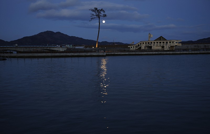 
              FIEL - In this Thursday, March 5, 2015 file photo, the lone pine tree that miraculously survived the deadly 2011 tsunami among 70,000 trees along the coastline, stands in Rikuzentakata, Iwate Prefecture, northeastern Japan. The tree, which was badly damaged from seawater after surviving the tsunami, was cut down in 2012 and treated for decay after which it was preserved using artificial materials. It was later placed back where it was found to stand as a symbol of hope and survival. (AP Photo/Eugene Hoshiko, File)
            