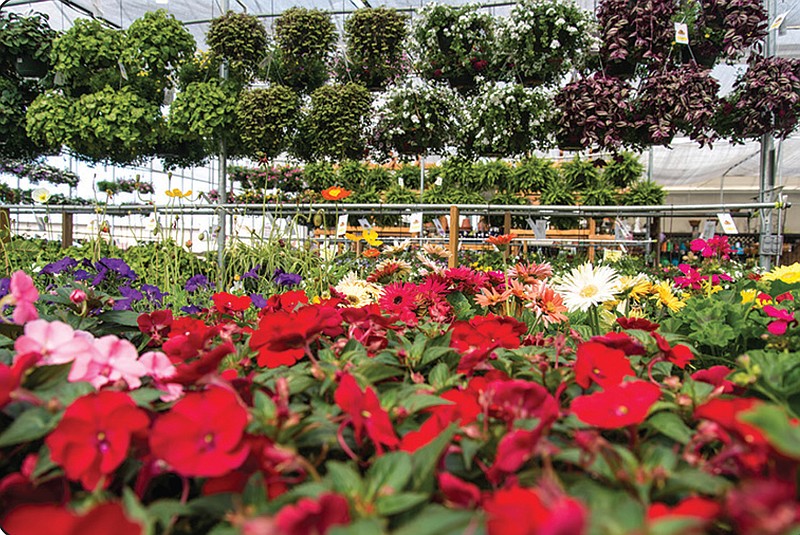 Holcomb Garden Center closing after 52 years as new shopping centers ...