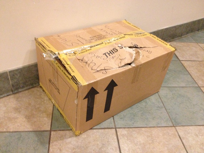 The box that puppies were put in and left at the Goodwill is seen in this contributed photo.
