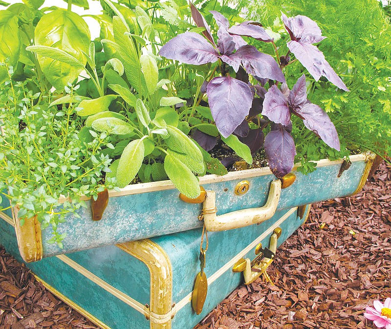 Old hard-sided suitcases make an innovative plant bed idea for space-starved gardeners. They also can be moved from one location to another. (Dean Fosdick via AP)