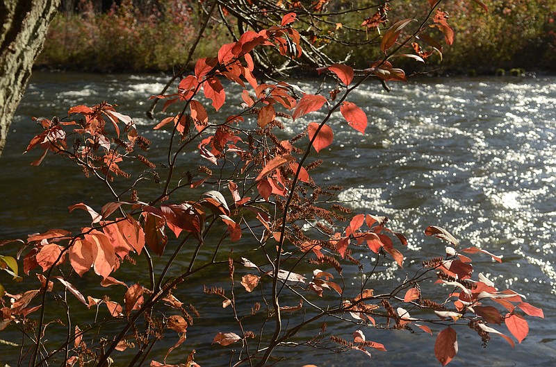 The Ocoee River runs between Ducktown and Benton, Tenn., in this 2014 file photo.