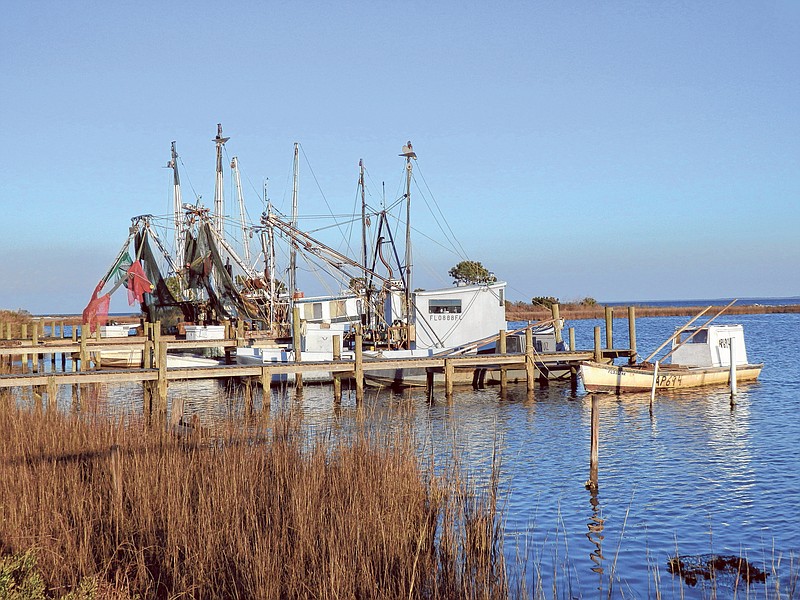 Oyster and shrimp boats await another day of work.