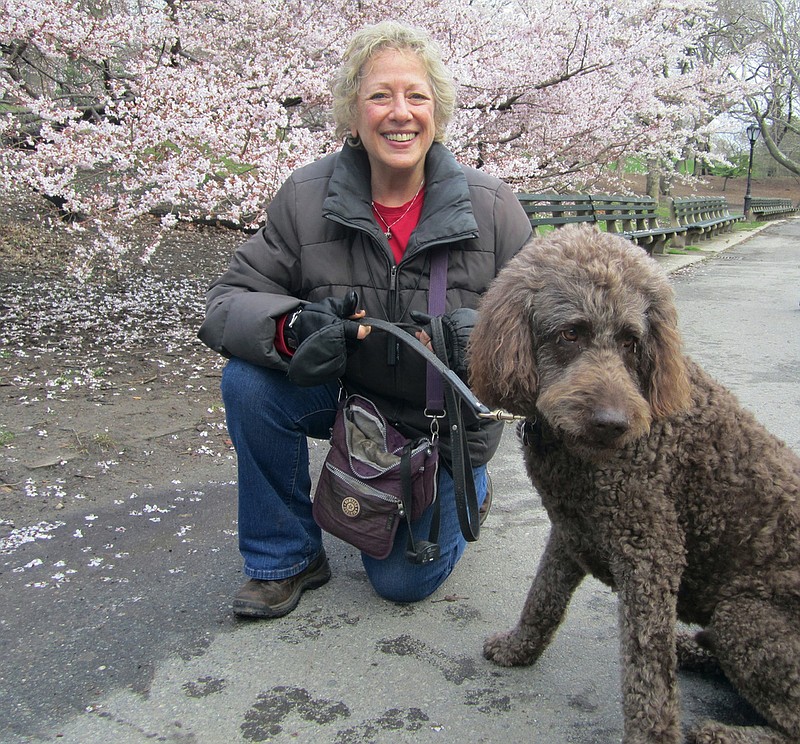 In this April 2014 photo provided by B.L. Ochman, Ochman poses with dog Benny, an 80-pound labradoodle in New York's Central Park. Hotels ranging from major chains to small outposts are capitalizing on the wave of travelers who bring their dogs, some by charging for perks that pamper pets and others by expanding fees. What started as a basic, one-time pet fee has blossomed into a per-night charge at many places and costs that can total hundreds.