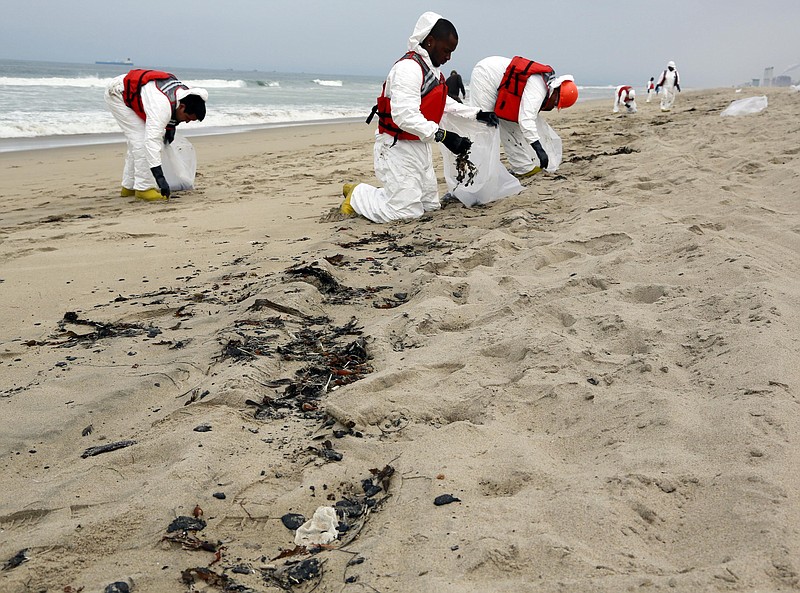 
              A cleanup crew collects balls of tar that washed ashore in Manhattan Beach, Calif. on Thursday, May 28, 2015. Popular beaches along nearly 7 miles of Los Angeles-area coastline are off-limits to surfing and swimming after balls of tar washed ashore. The beaches along south Santa Monica Bay appeared virtually free of oil Thursday morning after an overnight cleanup, but officials aren't sure if more tar will show up. (AP Photo/Nick Ut)
            