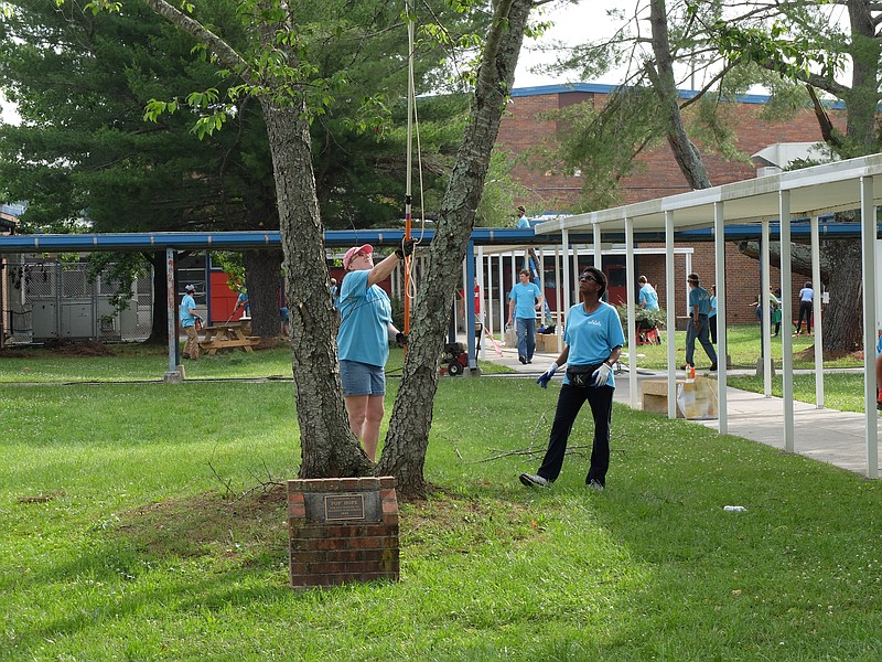 Unum employees Cindy Helton, left, and Sabrina Herndon work to prune a tree in the courtyard of Brainerd High School during a work day to beautify the N. Moore Road campus on June 5, 2015.