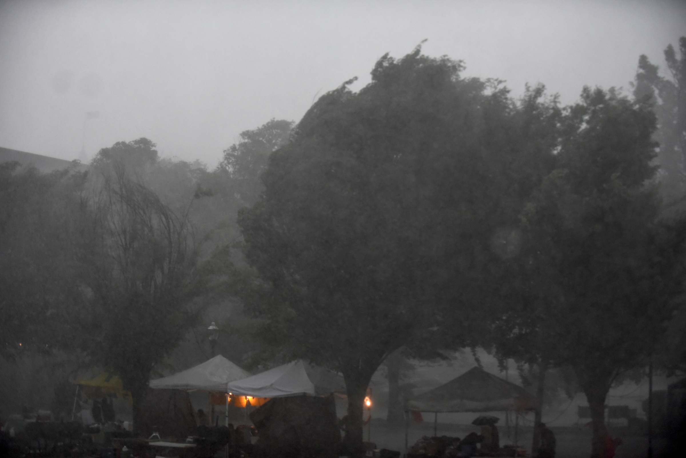 Staff Photo by Angela Lewis Foster/ The Chattanooga Times Free Press- 6/08/15
Wind whips through the trees during a storm Monday at the Bessie Smith Strut.