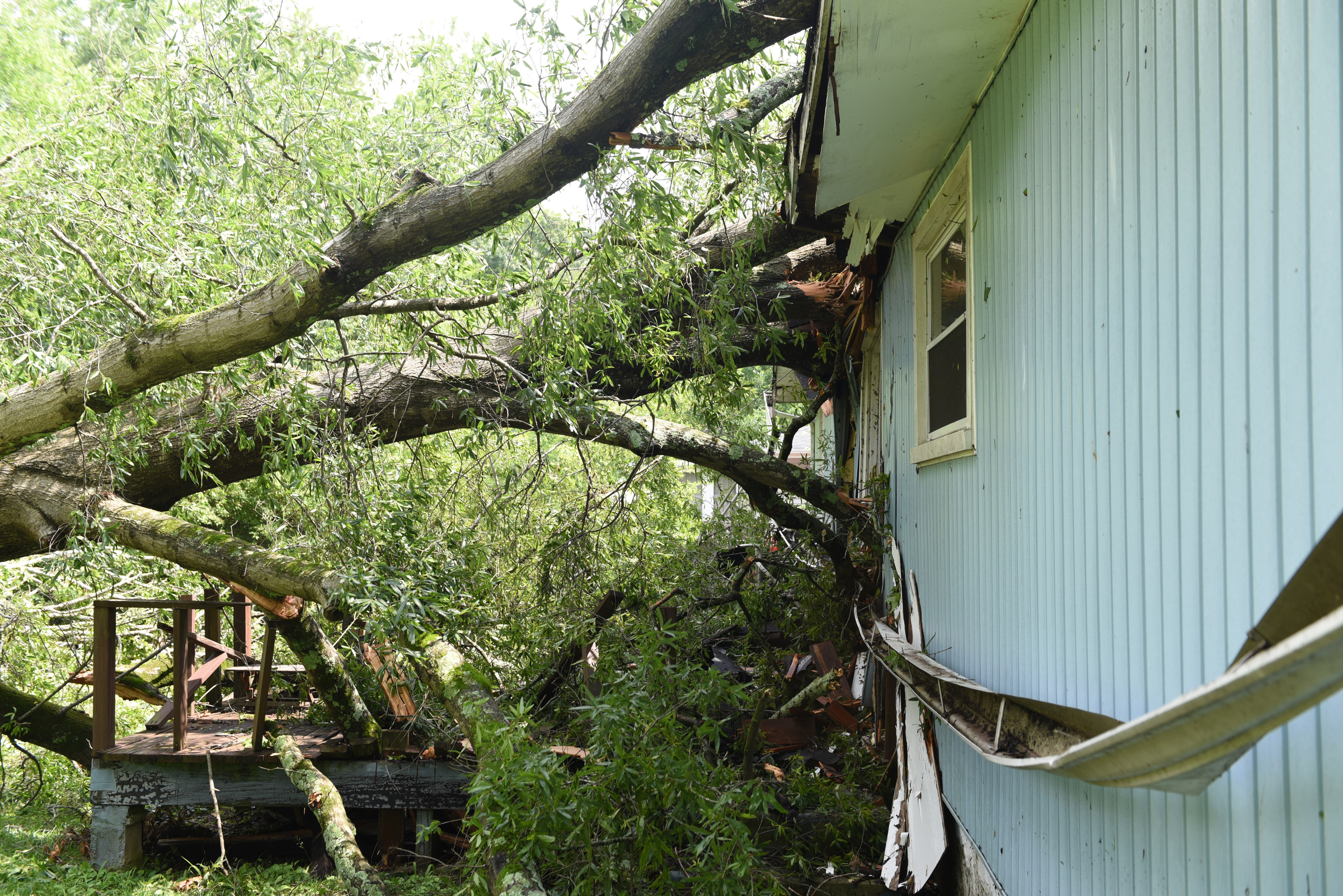 Staff photo by John Rawlston/Chattanooga Times Free Press - {iptcmonthname3 {iptcday}, 2015
Seen Tuesday, June 9, 2015, in East Ridge, Tenn., this house owned by Susan Dodson on Altamaha Street was severely damaged by falling trees during Monday night storms. Her son was home at the time of the storm, but he escaped injury.