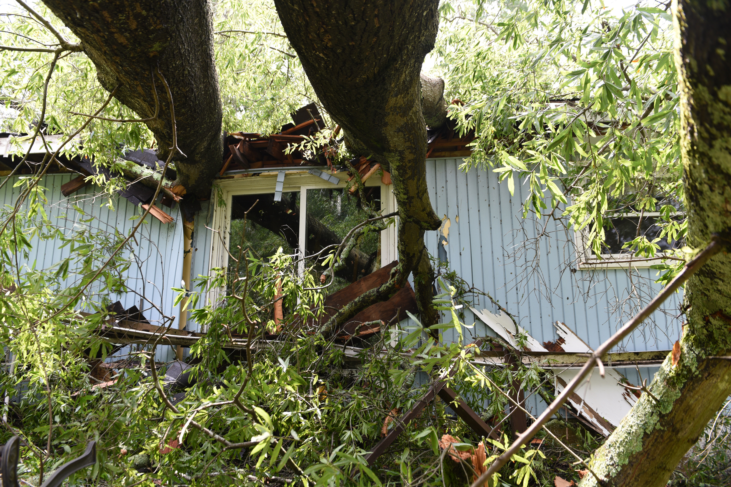 Staff photo by John Rawlston/Chattanooga Times Free Press - {iptcmonthname3 {iptcday}, 2015
Seen Tuesday, June 9, 2015, in East Ridge, Tenn., this house owned by Susan Dodson on Altamaha Street was severely damaged by falling trees during Monday night storms. Her son was home at the time of the storm, but he escaped injury.