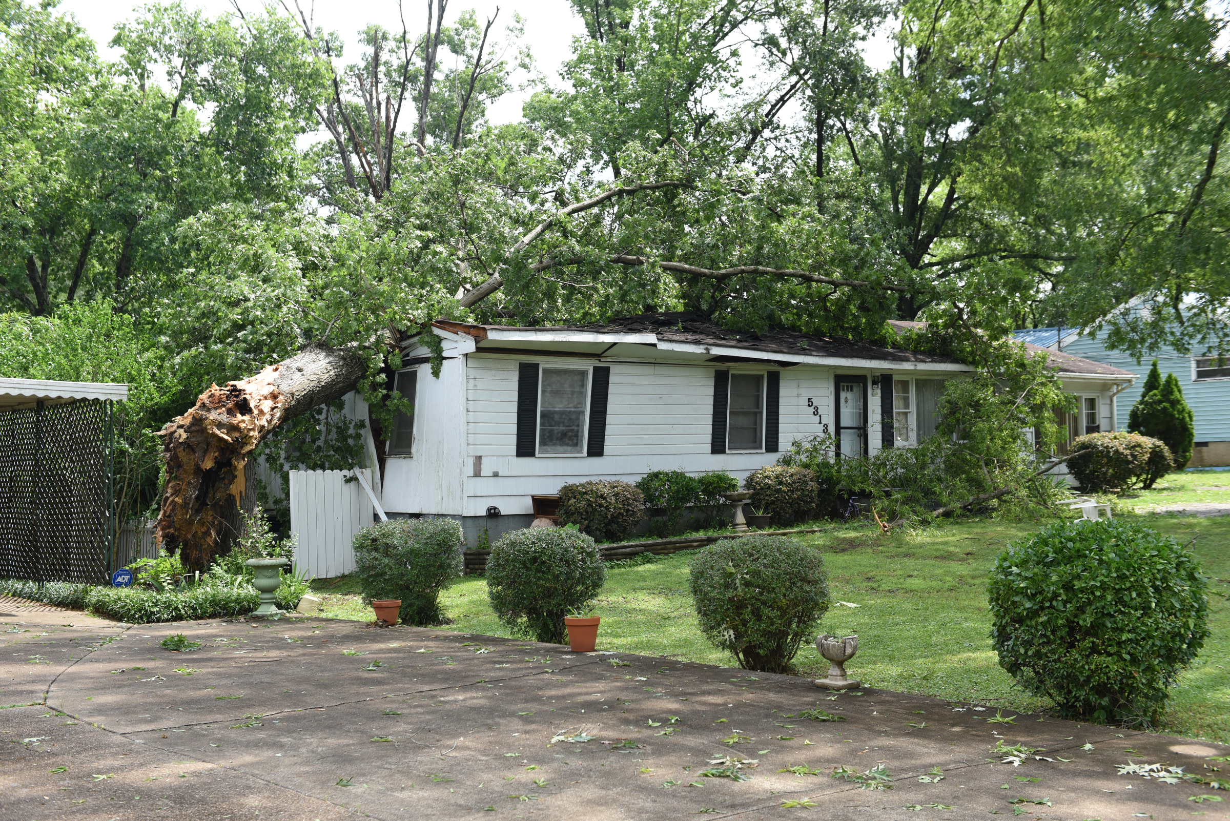 Staff photo by John Rawlston/Chattanooga Times Free Press - {iptcmonthname3 {iptcday}, 2015
Seen Tuesday, June 9, 2015, in East Ridge, Tenn., this house on Weaver Street was severely damaged by a falling tree during Monday night storms. A man in his 70's had been in the bedroom where the tree landed, but he had gone to the front door when he heard his wife pull up in the driveway.