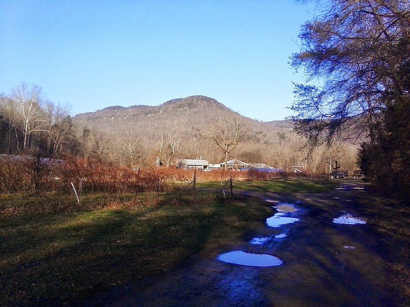 The Sequatchie Cove Creamery is located in an idyllic valley west of Chattanooga