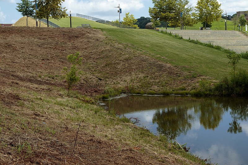 Staff photo by Doug Strickland
An area of the Renaissance Park wetlands where vegetation was cleared by the Chattanooga City Public Works Department is seen Friday, June 12, 2015, in Chattanooga, Tenn.