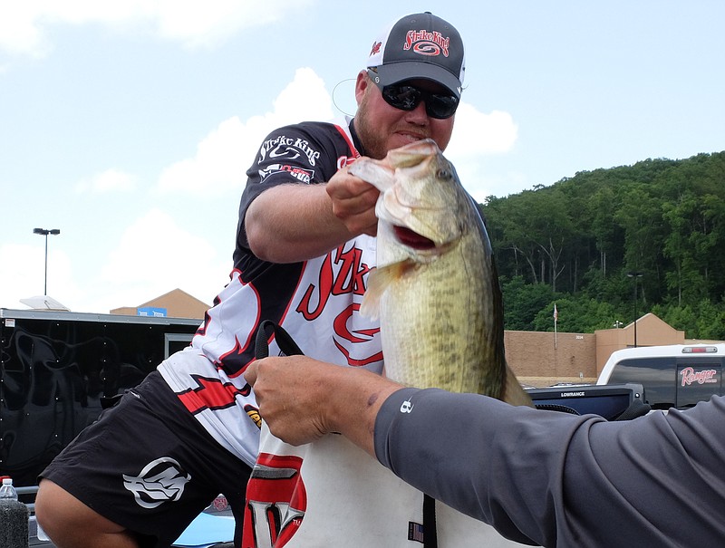 Michael Wooley, of Collierville, Tenn., pulls his big fish, a 7-pounds, 3-ounce largemouth bass from his live well in the Walmart parking lot in Dayton on Saturday, June 13, 2015. 
